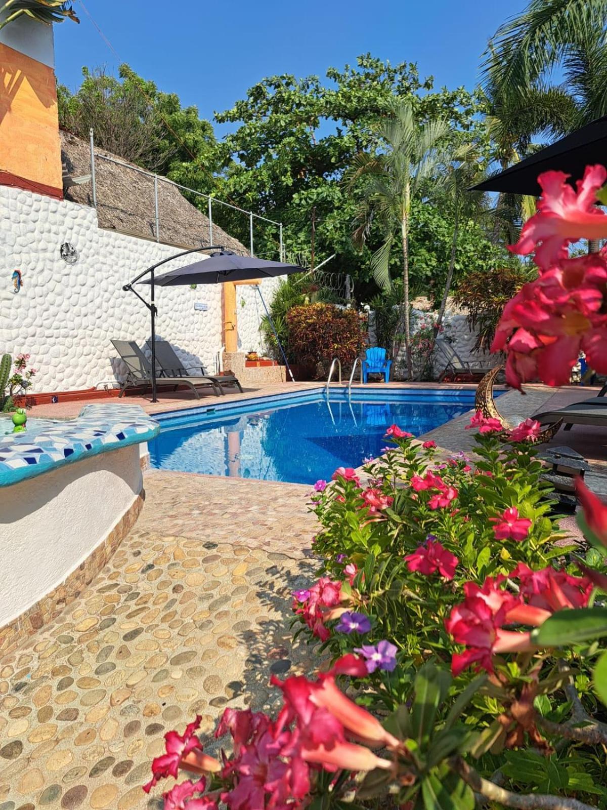 Hotelito Swiss Oasis - Solo Adultos Puerto Escondido  Esterno foto