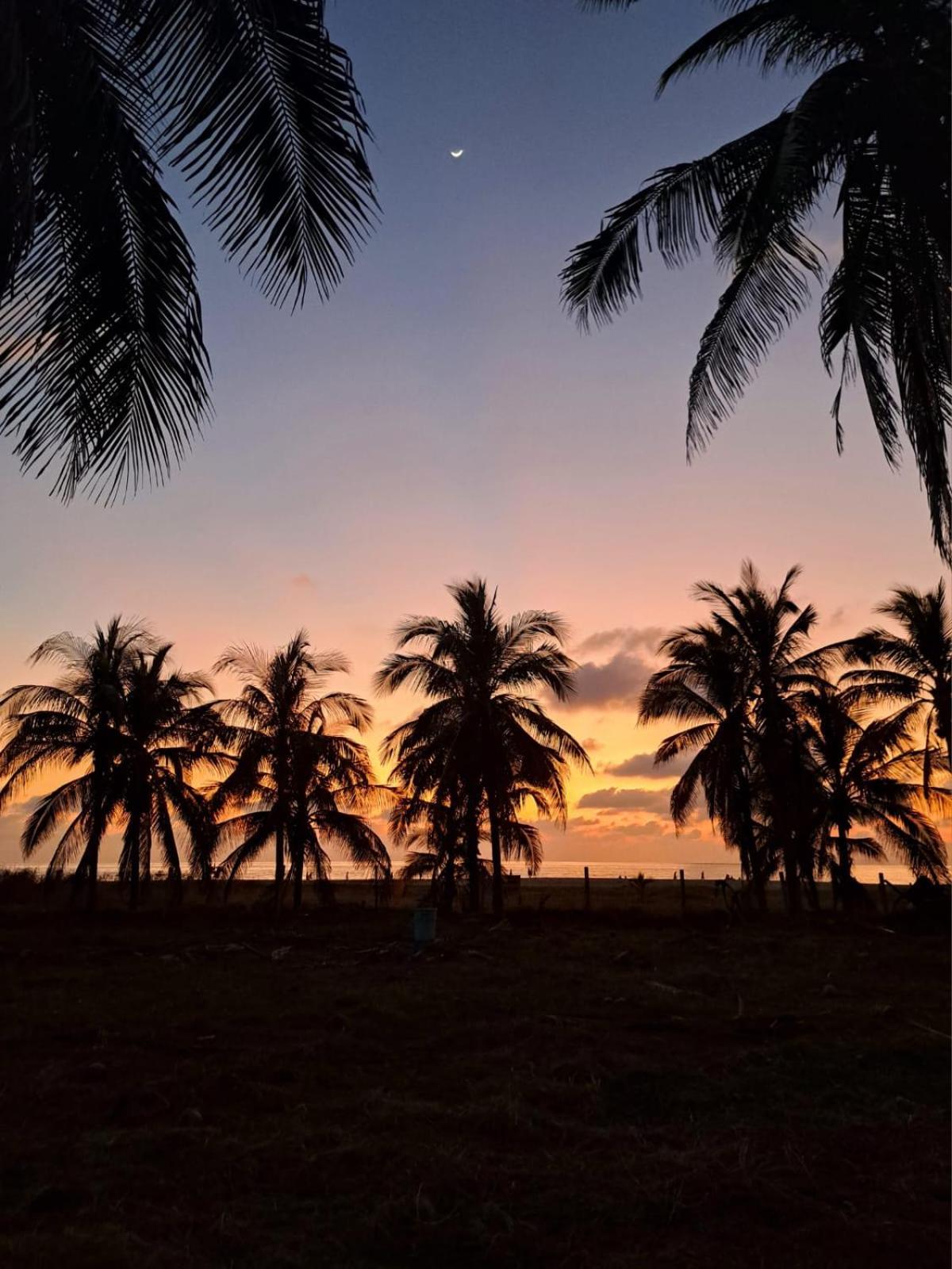 Hotelito Swiss Oasis - Solo Adultos Puerto Escondido  Esterno foto