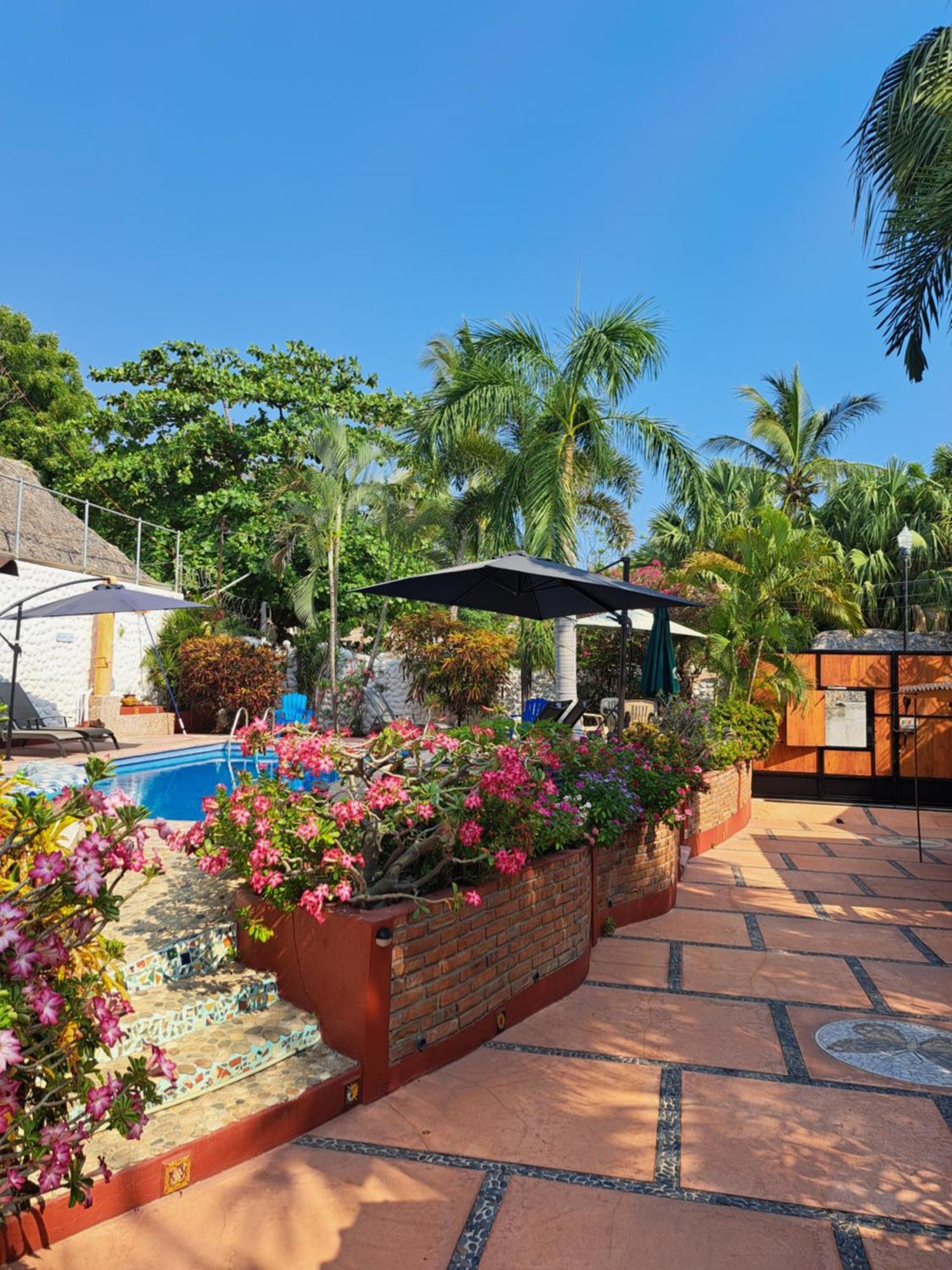 Hotelito Swiss Oasis - Solo Adultos Puerto Escondido  Esterno foto