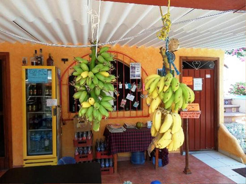 Hotelito Swiss Oasis - Solo Adultos Puerto Escondido  Esterno foto