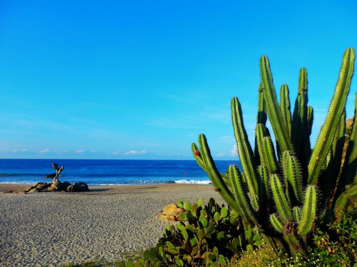 Hotelito Swiss Oasis - Solo Adultos Puerto Escondido  Esterno foto